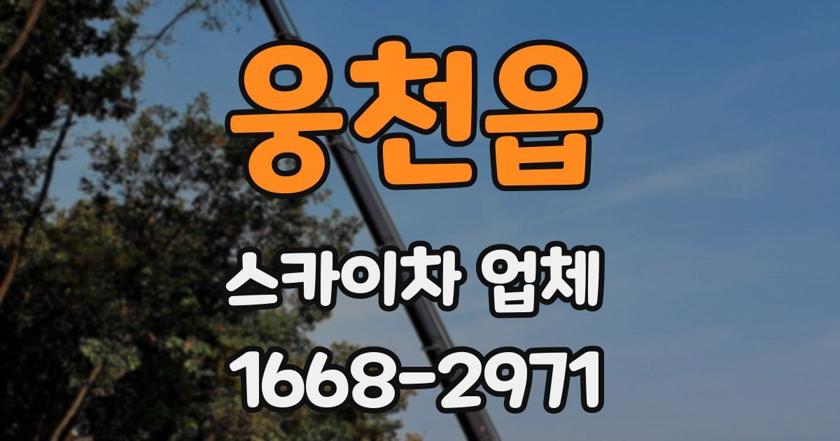 웅천읍 스카이차 업체