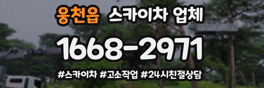 웅천읍 스카이차 업체