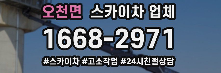 오천면 스카이차 업체