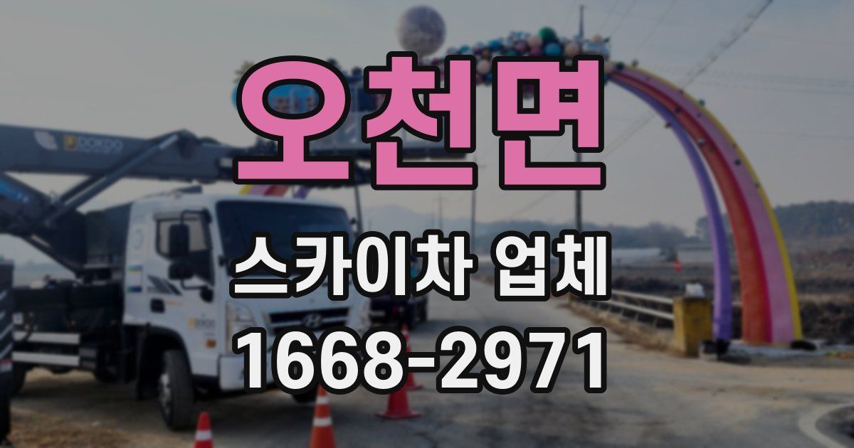 오천면 스카이차 업체
