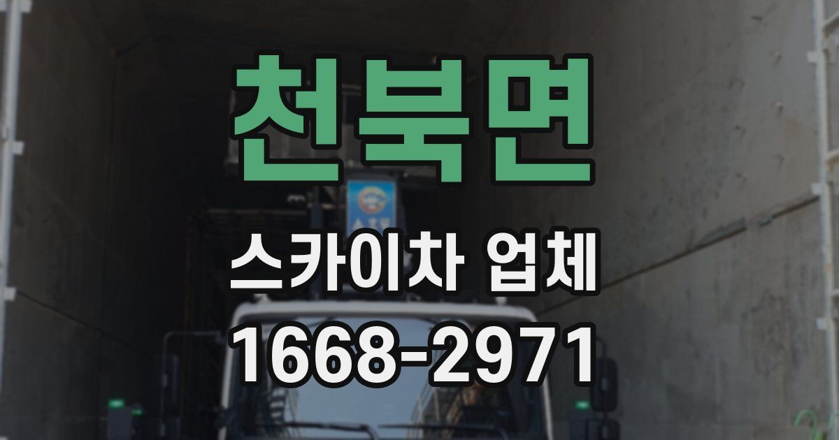 천북면 스카이차 업체