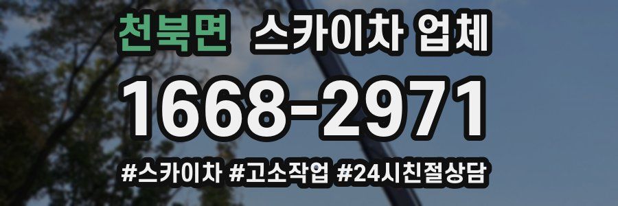 천북면 스카이차 업체