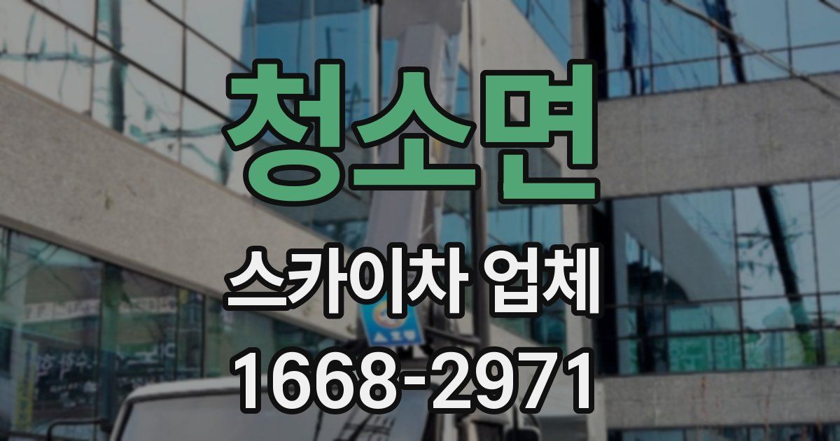 청소면 스카이차 업체