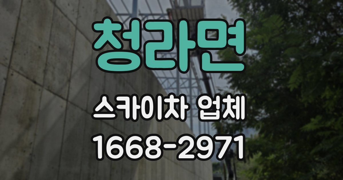 청라면 스카이차 업체
