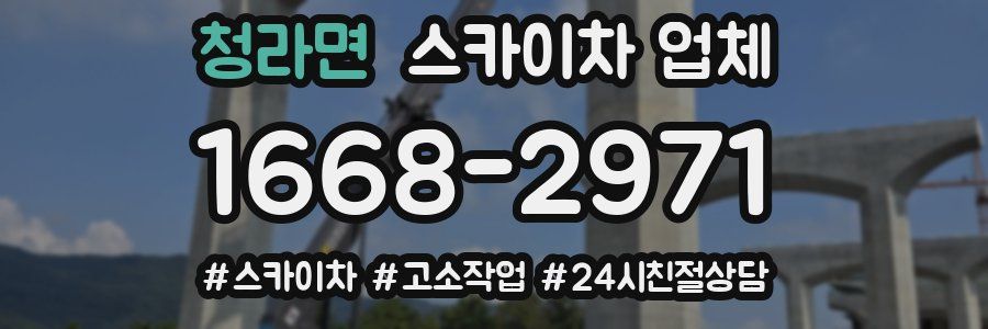 청라면 스카이차 업체