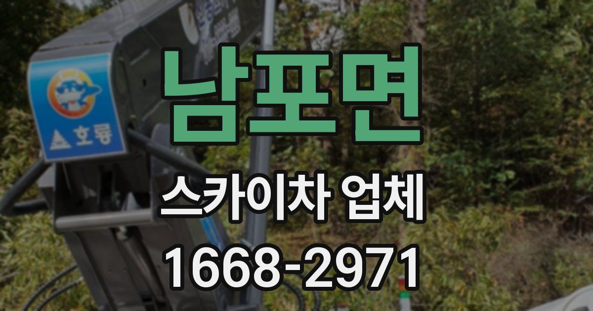 남포면 스카이차 업체