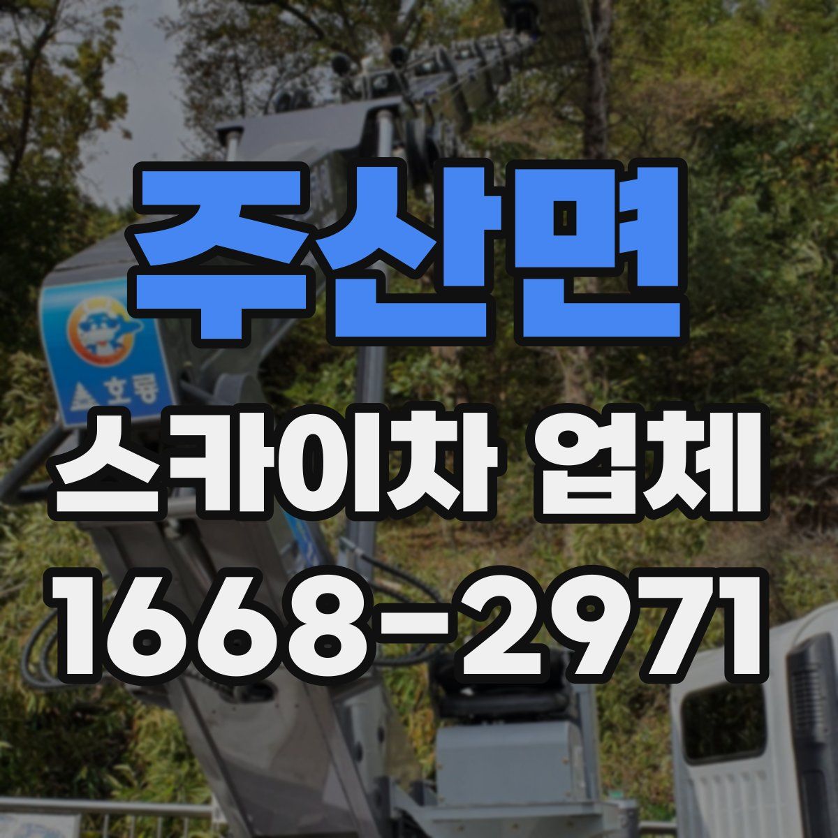 주산면 스카이차 업체