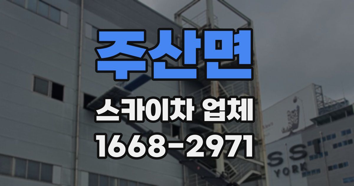 주산면 스카이차 업체