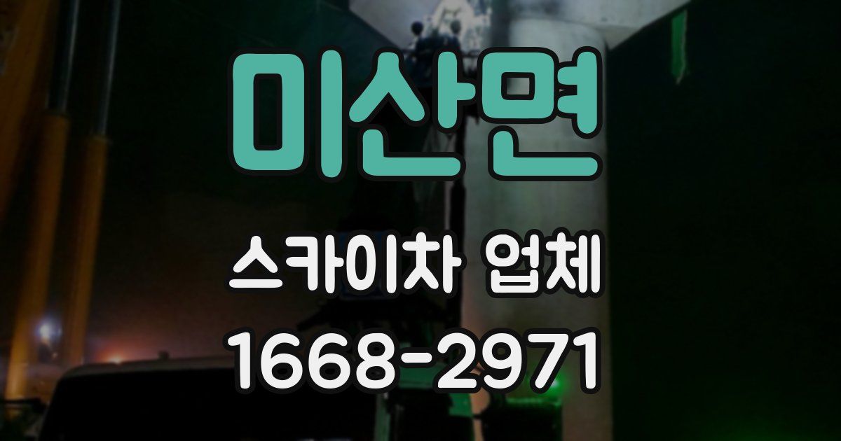 미산면 스카이차 업체