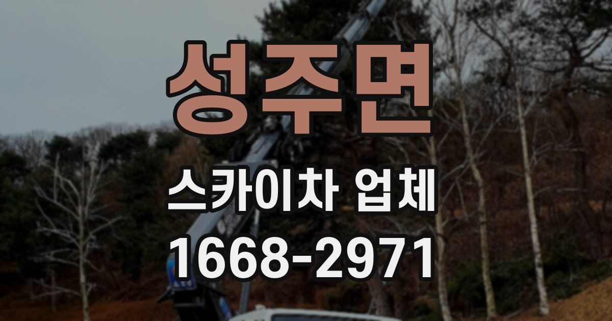 성주면 스카이차 업체