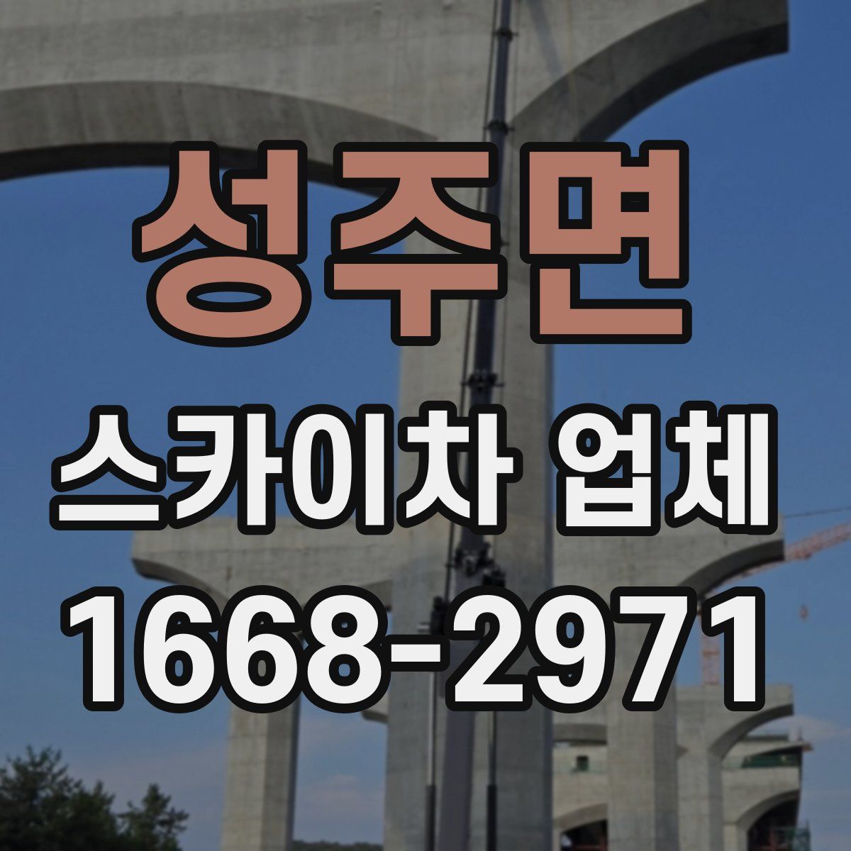 성주면 스카이차 업체