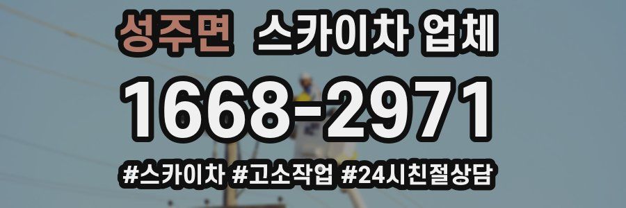 성주면 스카이차 업체