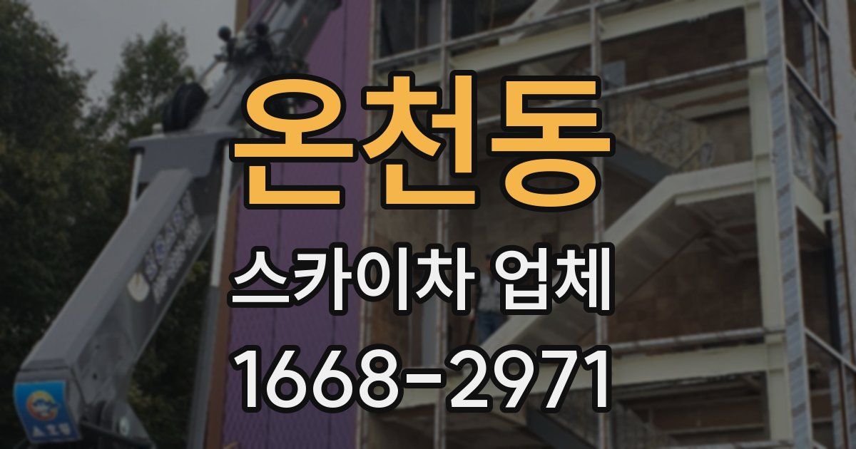 온천동 스카이차 업체