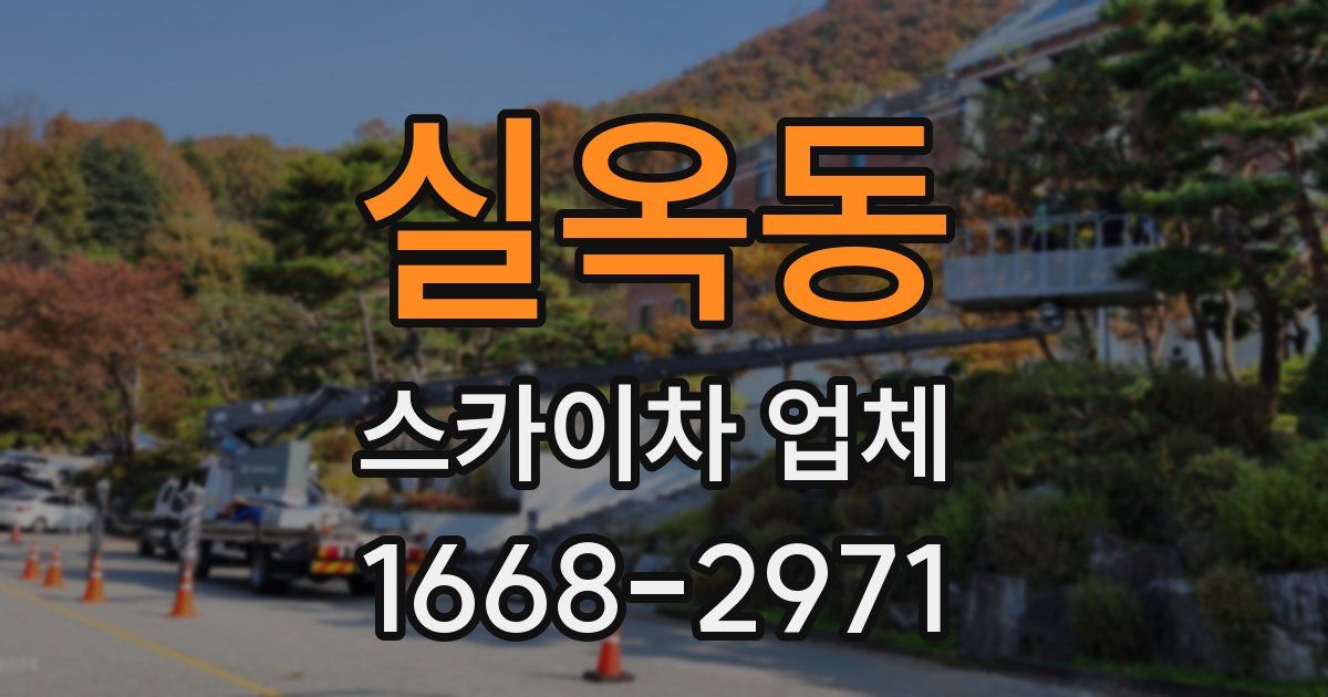 실옥동 스카이차 업체