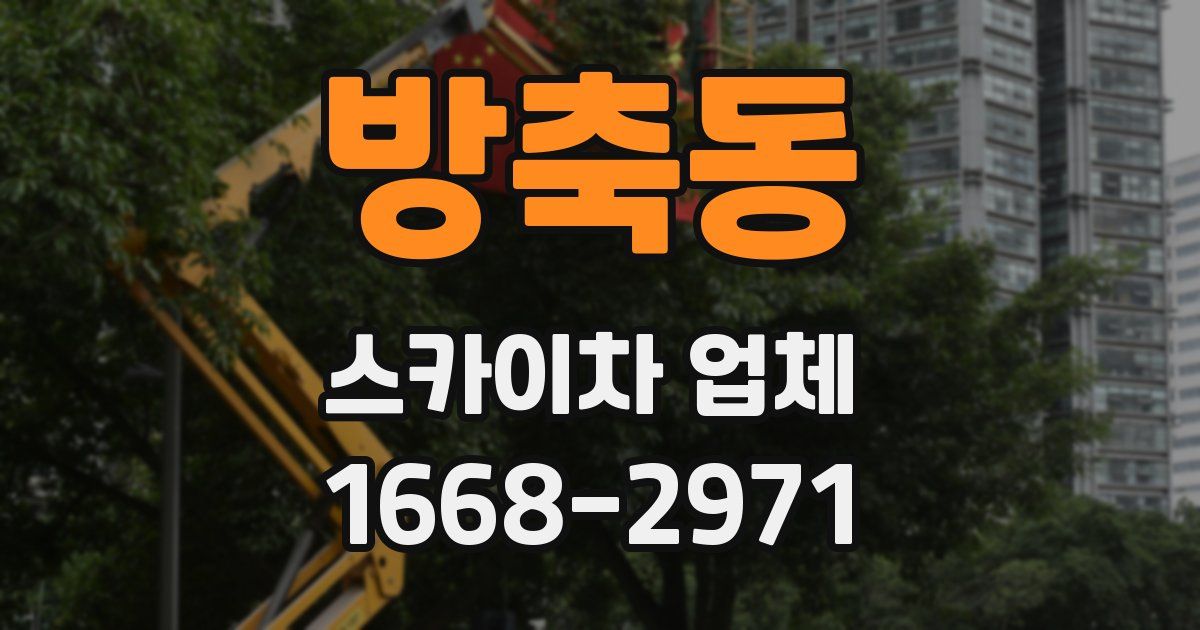 방축동 스카이차 업체