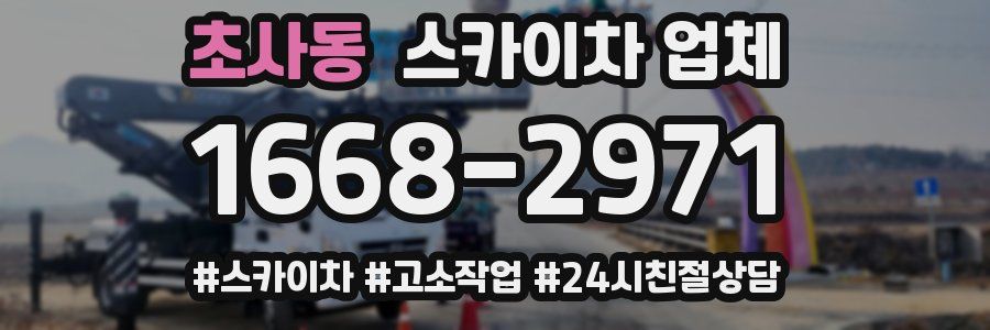 초사동 스카이차 업체
