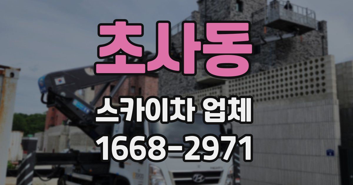 초사동 스카이차 업체