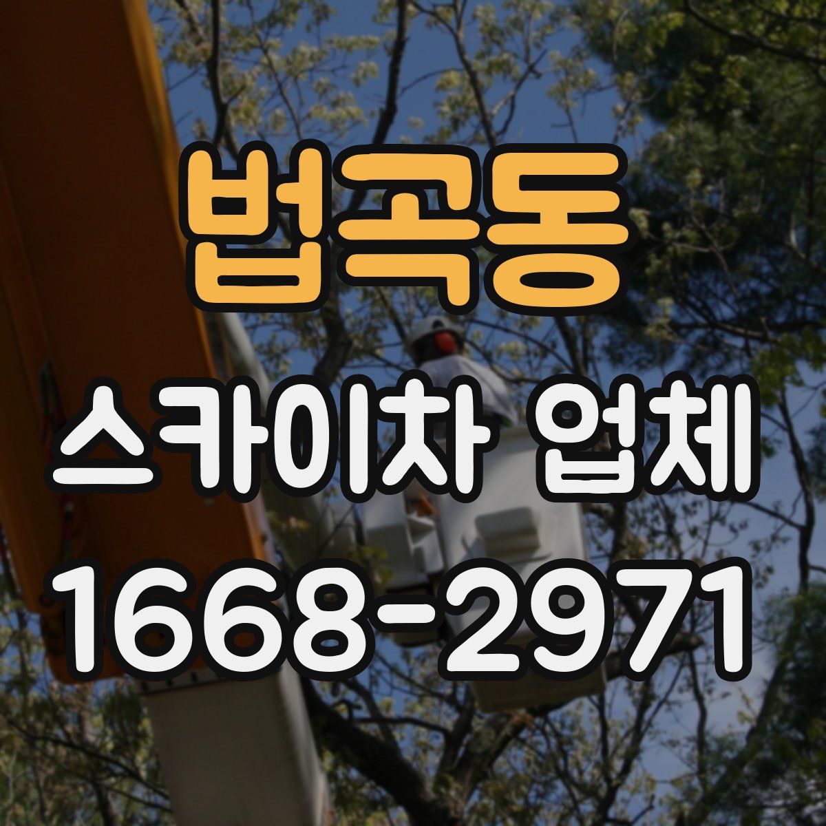 법곡동 스카이차 업체
