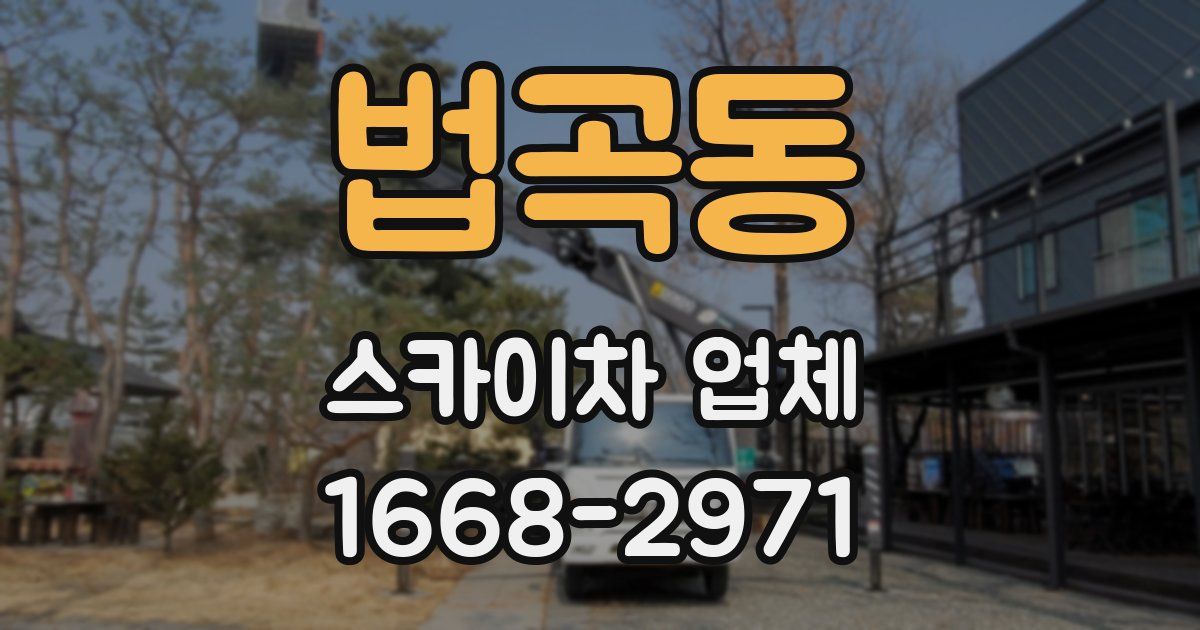 법곡동 스카이차 업체