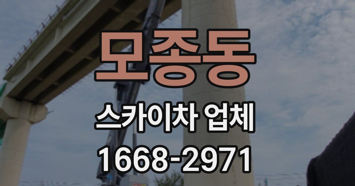 모종동 스카이차 업체
