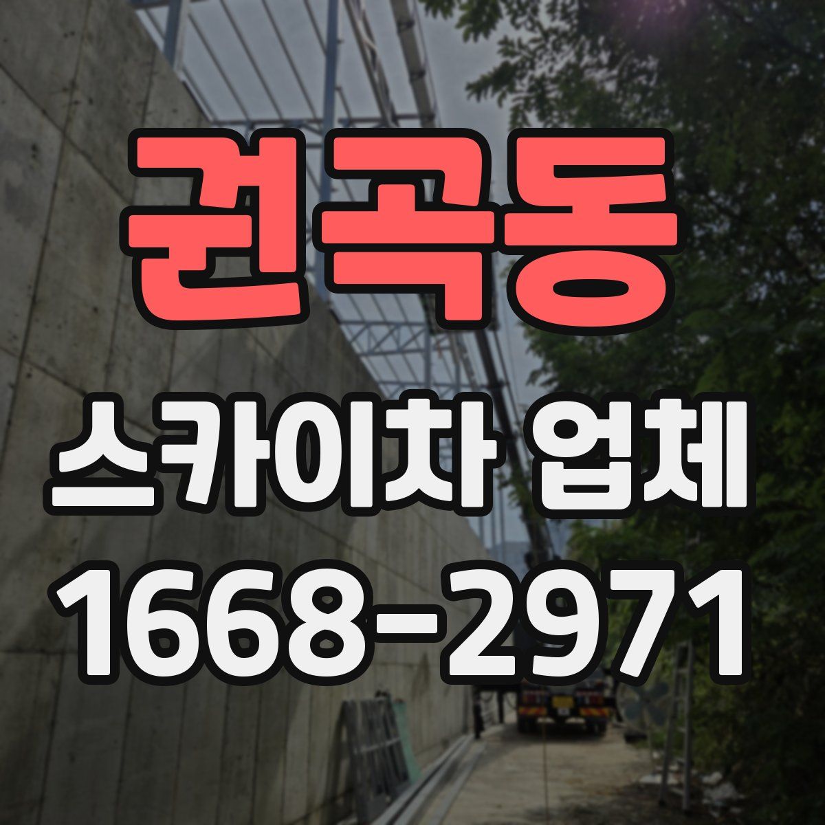 권곡동 스카이차 업체
