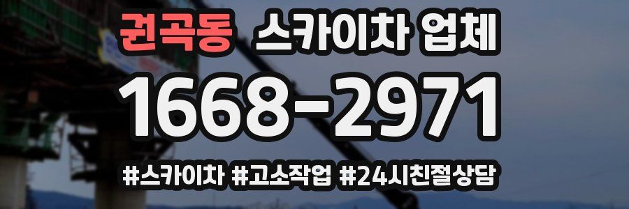 권곡동 스카이차 업체