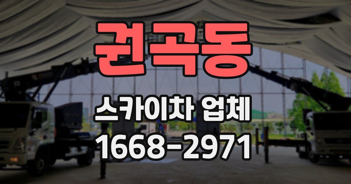 권곡동 스카이차 업체