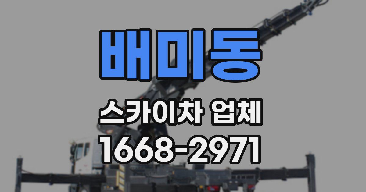 배미동 스카이차 업체