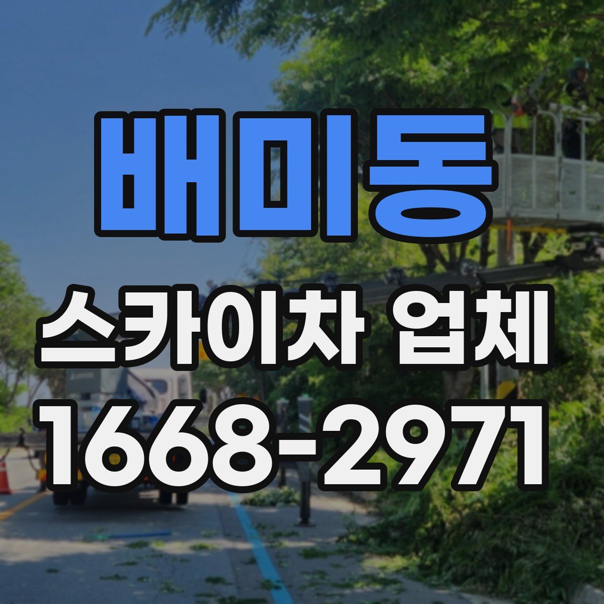 배미동 스카이차 업체