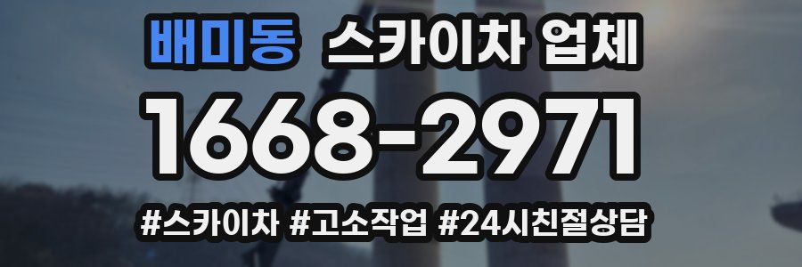 배미동 스카이차 업체