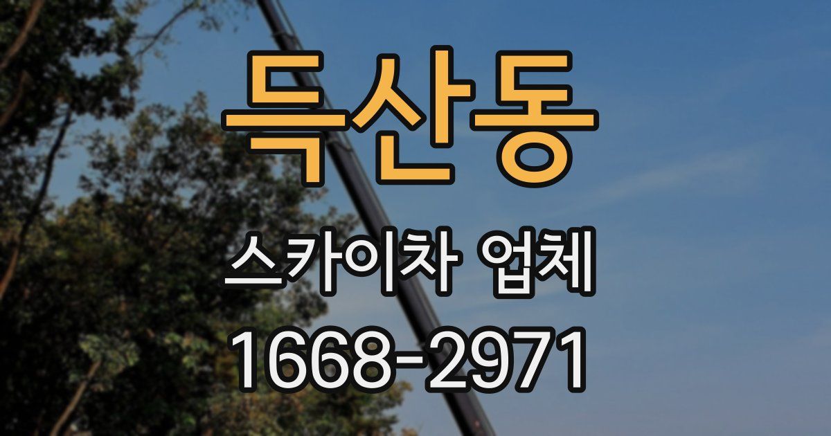 득산동 스카이차 업체