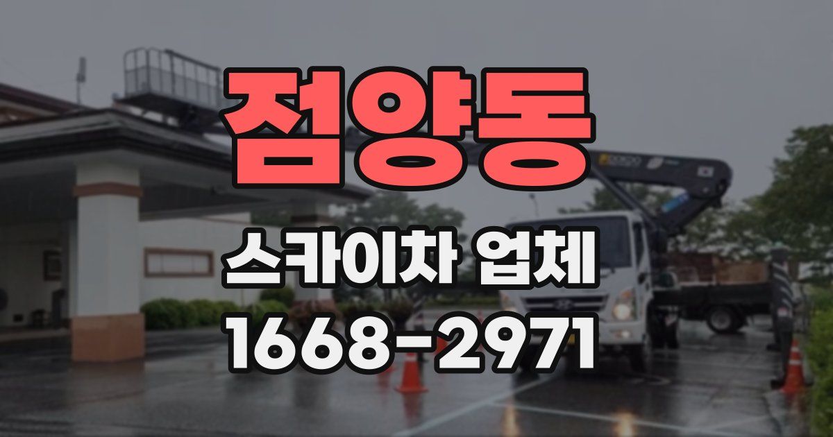 점양동 스카이차 업체