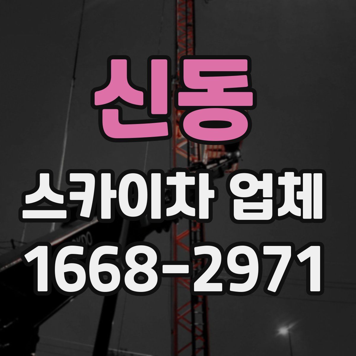 신동 스카이차 업체