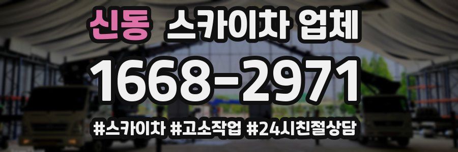 신동 스카이차 업체