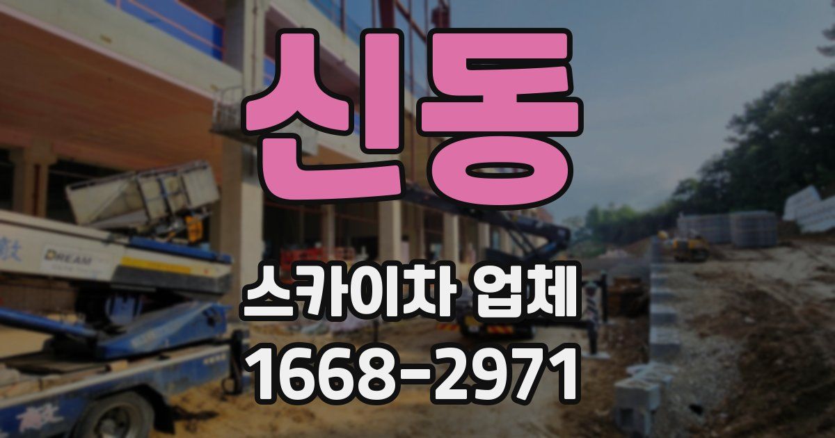 신동 스카이차 업체
