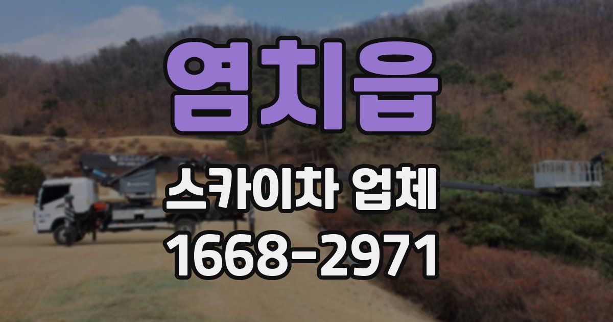 염치읍 스카이차 업체