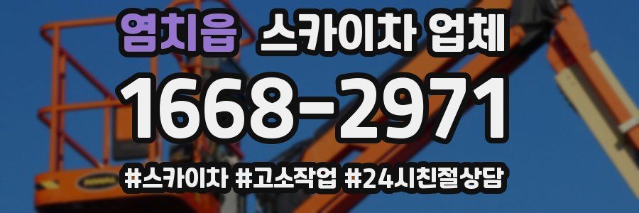 염치읍 스카이차 업체