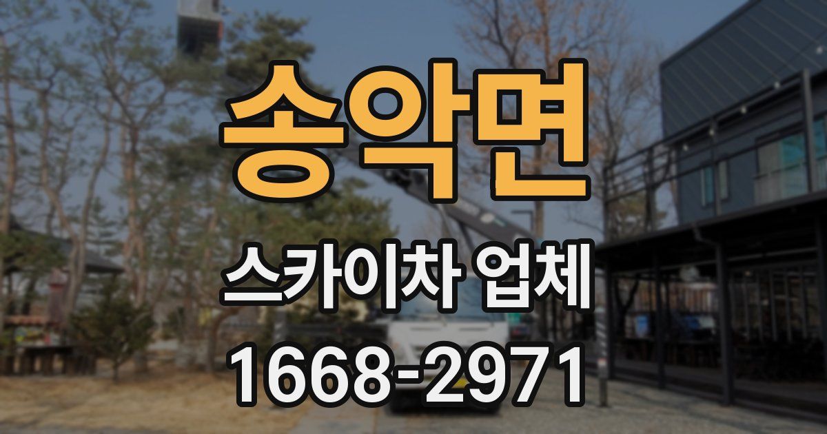 송악면 스카이차 업체