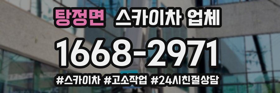 탕정면 스카이차 업체