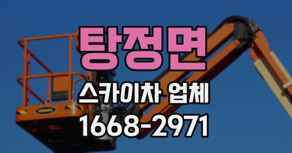 탕정면 스카이차 업체