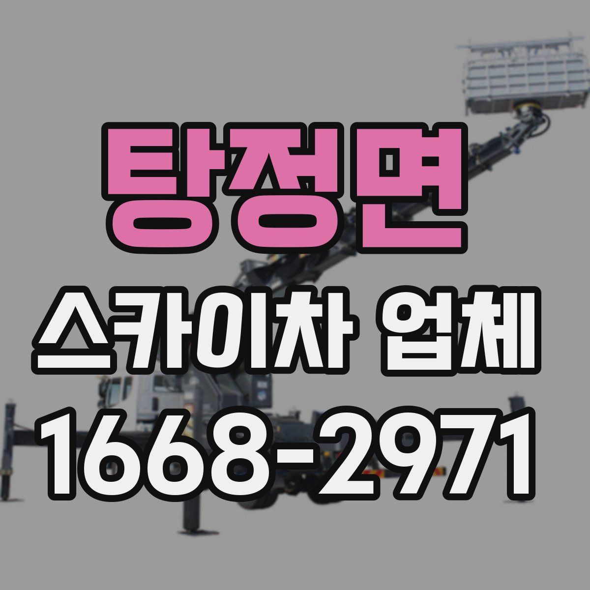 탕정면 스카이차 업체