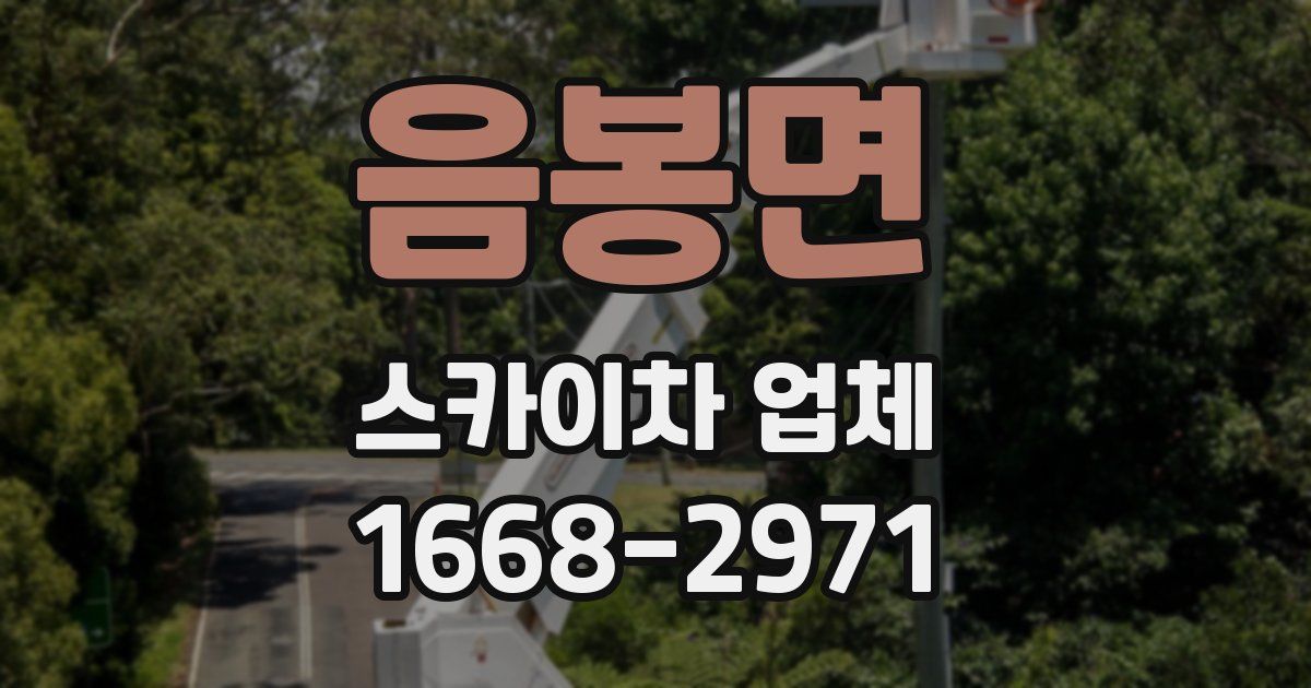 음봉면 스카이차 업체