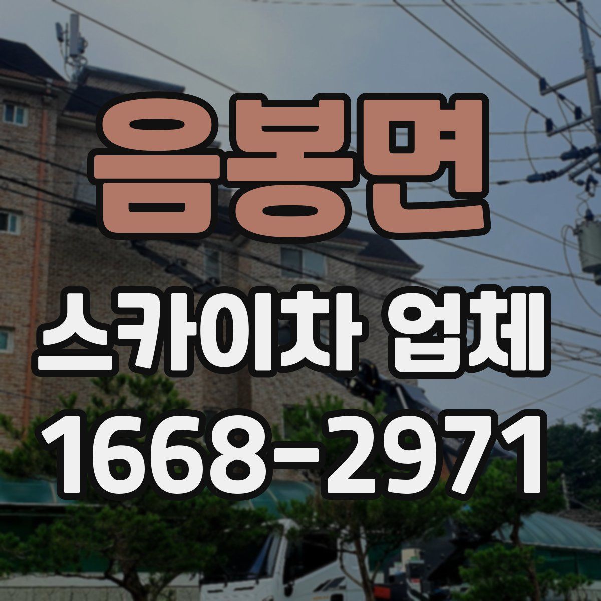 음봉면 스카이차 업체