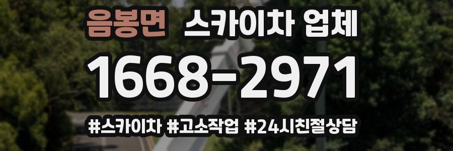음봉면 스카이차 업체