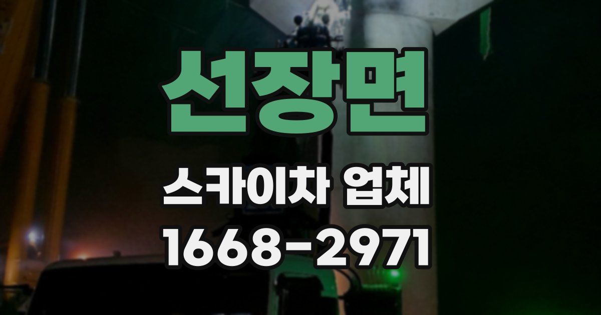 선장면 스카이차 업체
