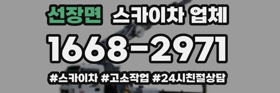 선장면 스카이차 업체