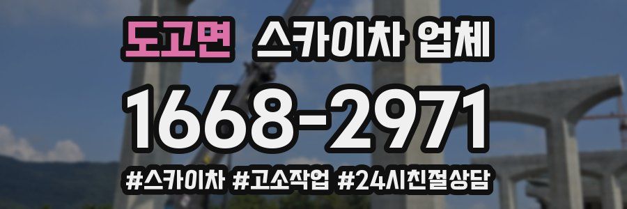 도고면 스카이차 업체