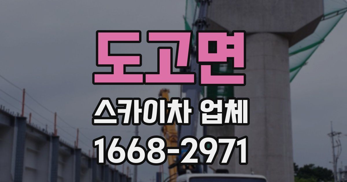 도고면 스카이차 업체