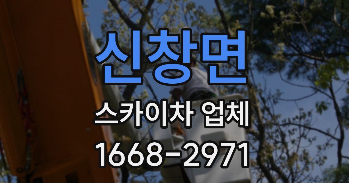신창면 스카이차 업체