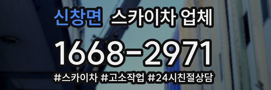 신창면 스카이차 업체